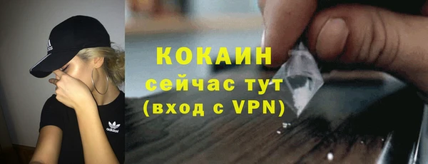 соль ск Сосновоборск