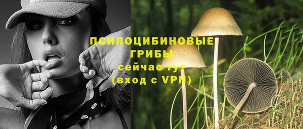 Альфа ПВП Гусиноозёрск
