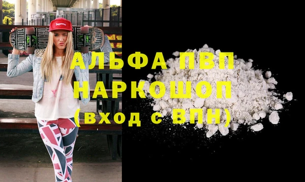 Альфа ПВП Гусиноозёрск