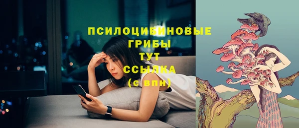 Альфа ПВП Гусиноозёрск