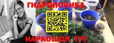 сатива Берёзовский