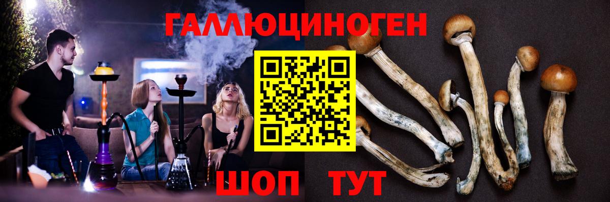Псилоцибиновые грибы Psilocybe Добрянка